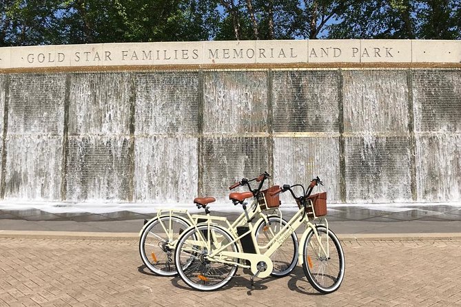 Chicago Lakefront Electric Bike Tour - A guide-led ride with room for photos