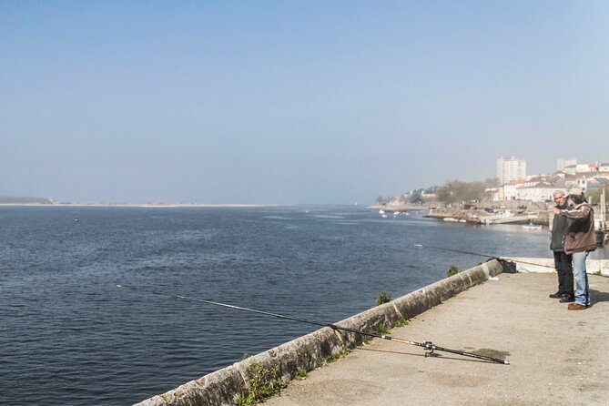 City Bike Rental in Porto - Following the Douro from Porto toward the beaches