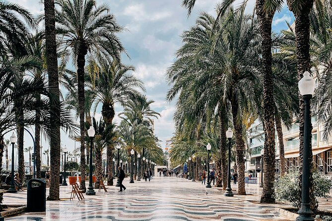 City Bike Tour in Alicante - Key points at a glance