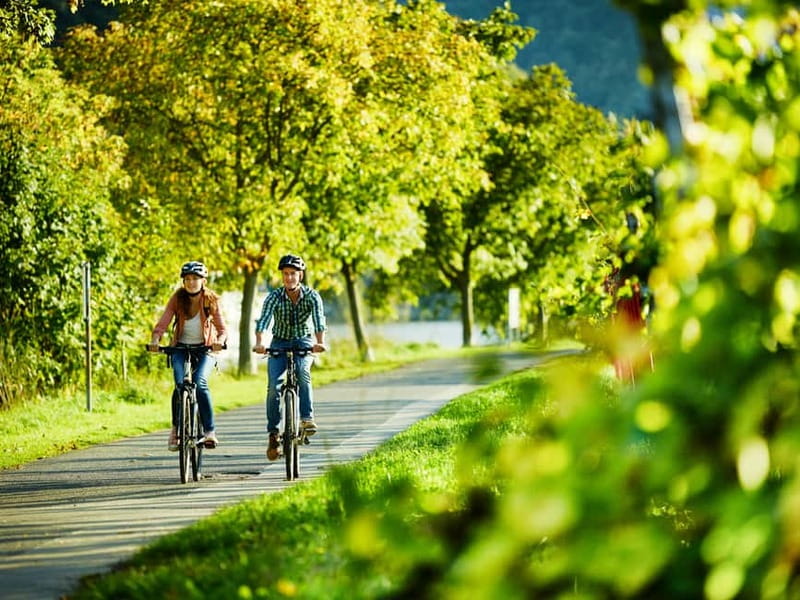 Cochem: Bike and Boat Tour with Picnic and Wine Tasting - The Moselle ride, with room to set your own pace