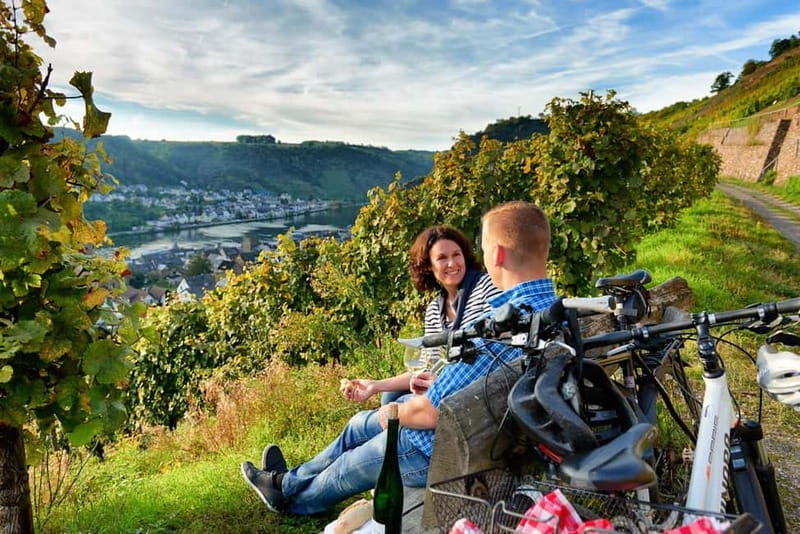 Cochem: Bike and Boat Tour with Picnic and Wine Tasting - A picnic beside the Moselle