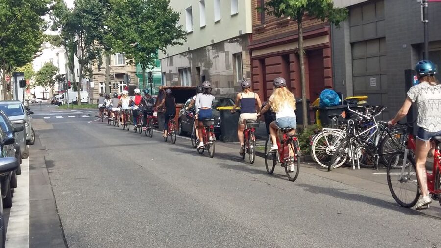 Cologne: 3-Hour Guided Bike Tour - Riding north along the Rhine to the finish