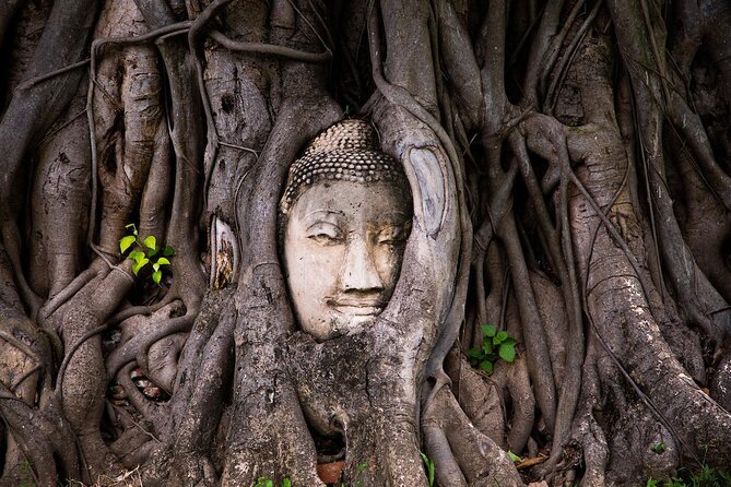 Colors of Ayutthaya Full-Day Bike Tour - Key things to know before you book