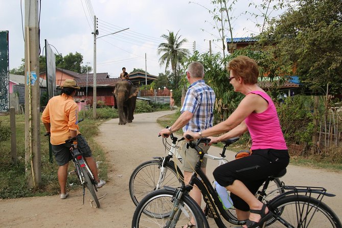 Colors of Ayutthaya Full-Day Bike Tour - Wat Phra Sri Sanphet and royal Ayutthaya