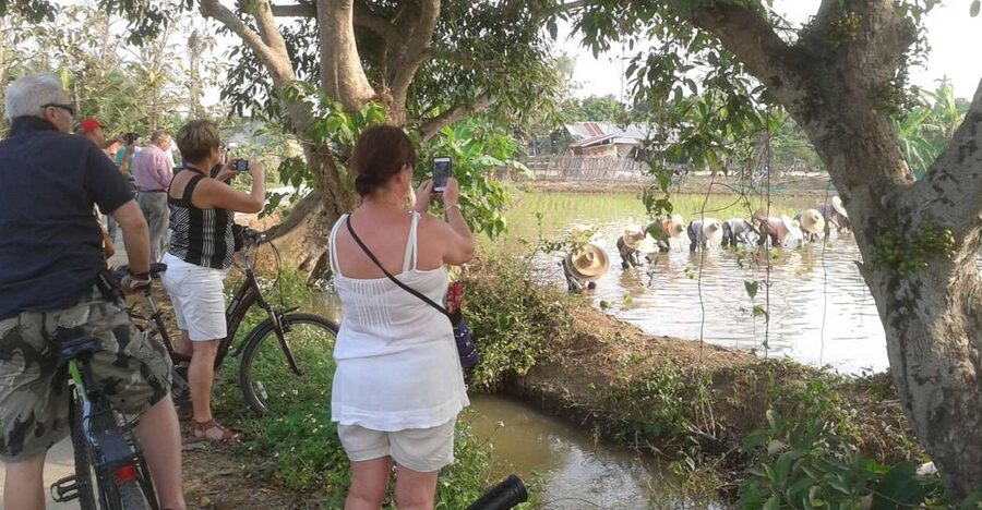 Colors of Chiang Mai Guided Bicycle Tour - Key things to know before you ride