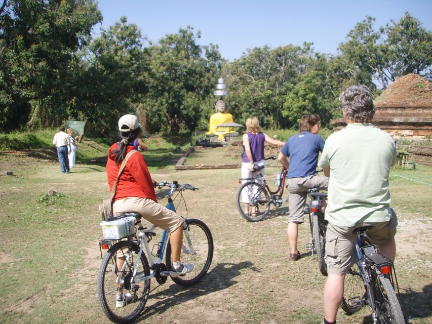 Colors of Chiang Mai Guided Bicycle Tour - Timing, seasonal limits, and practical value