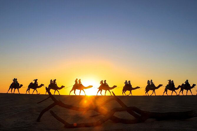 Combo Horseback Ride and Sky Bike in Cabo - From your Cabo hotel to Cactus Park