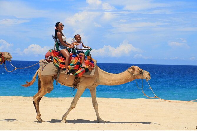 Combo Horseback Ride and Sky Bike in Cabo - Family details, safety, and comfort