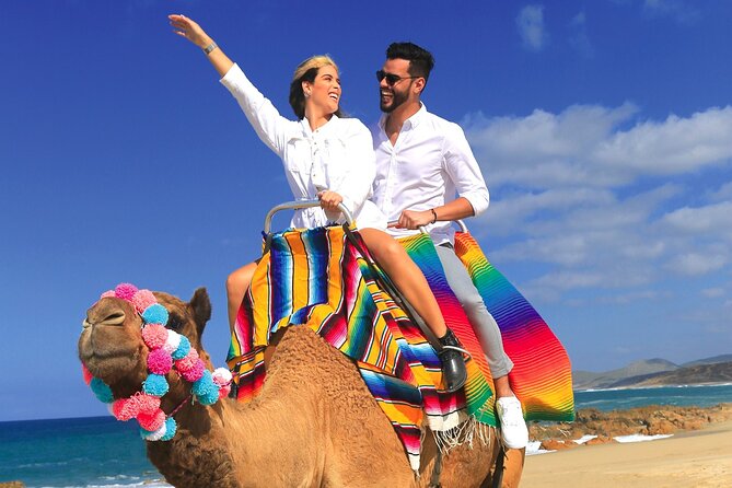 Combo Horseback Ride and Sky Bike in Cabo - Who should choose this Cabo outing?