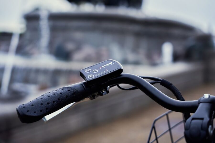 Copenhagen E-Bike Rental - Starting beside the cruise ships at Langelinie