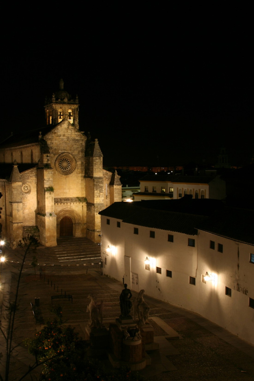 Cordoba at Night by Bike, Electric Bike - Key points to know before booking