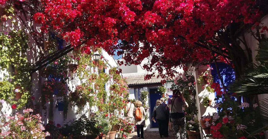 Cordoba Courtyards by Bike, Electric Bike - Why Córdoba’s Patios Matter