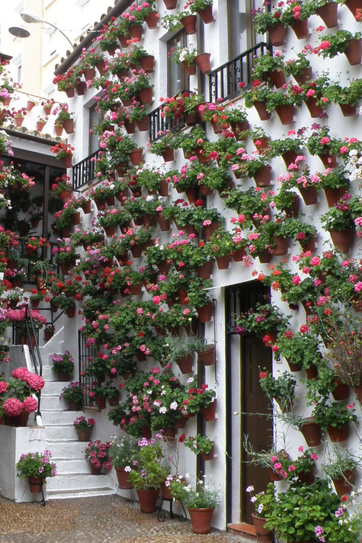 Cordoba Courtyards by Bike, Electric Bike - Four Courtyards, Four Different Impressions