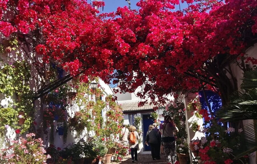 Cordoba Courtyards by Bike, Electric Bike - Standard Bike or E-Bike?