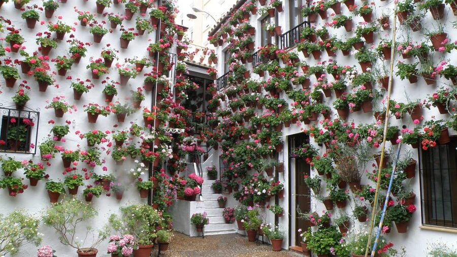 Cordoba Courtyards by Bike, Electric Bike - Practical Details Before You Reserve