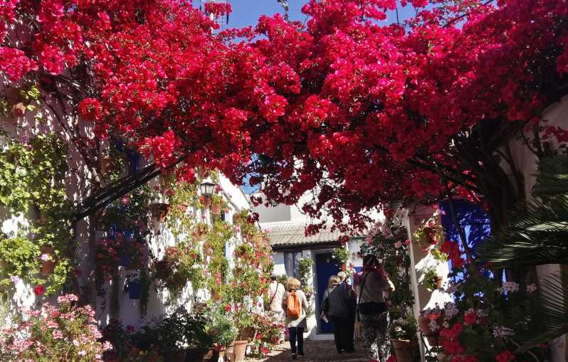 Cordoba Courtyards by Bike, Electric Bike - The First Ride: Getting Comfortable in Córdoba
