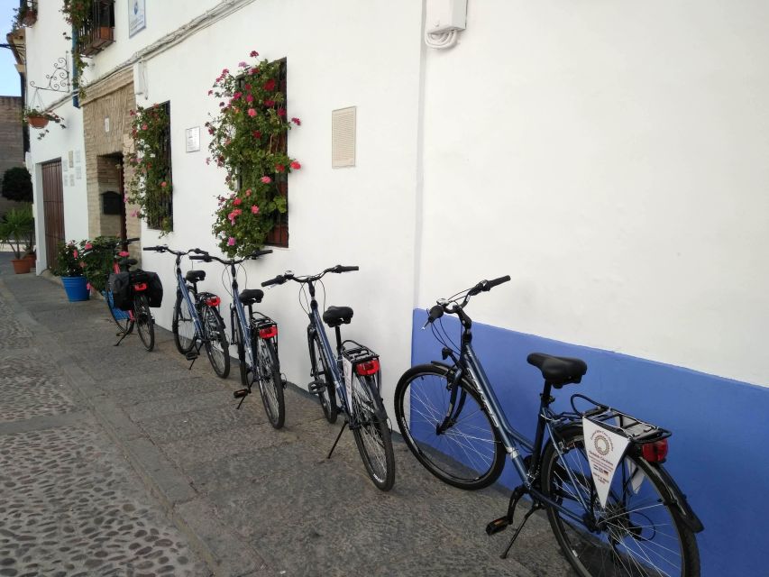 Córdoba Daily Highlights Bike Tour - Wandering through the Jewish quarter and patios