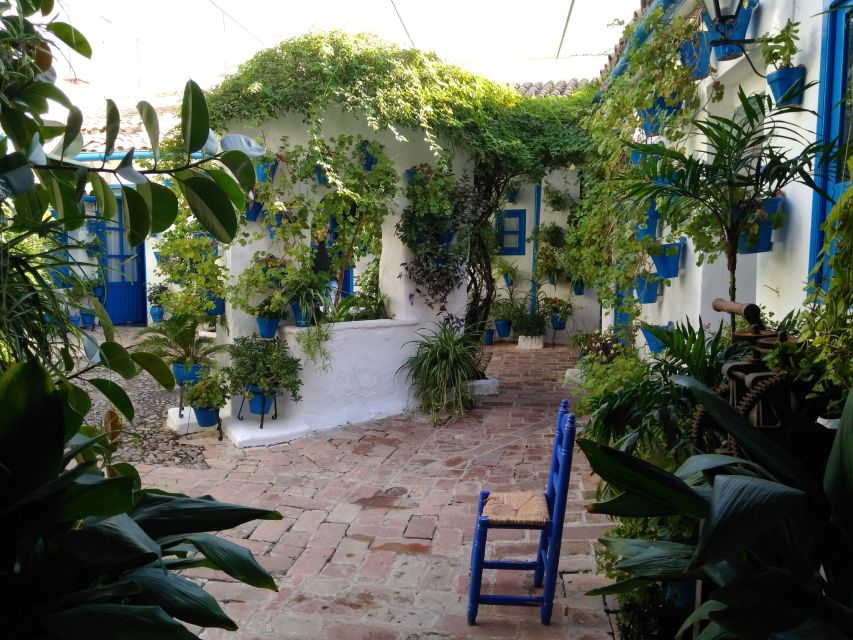 Córdoba Daily Highlights Bike Tour - Royal Stables, viewpoints, and the quieter corners