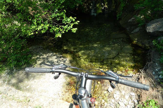 Corfu by bike: Countryside, Forests and Villages - Forest roads, olive groves, and the tricky road section