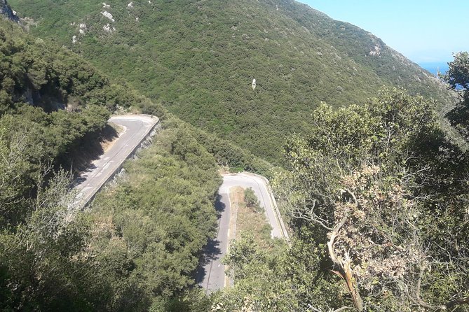 Corfu by bike: Countryside, Forests and Villages - Is $45.86 a fair price?