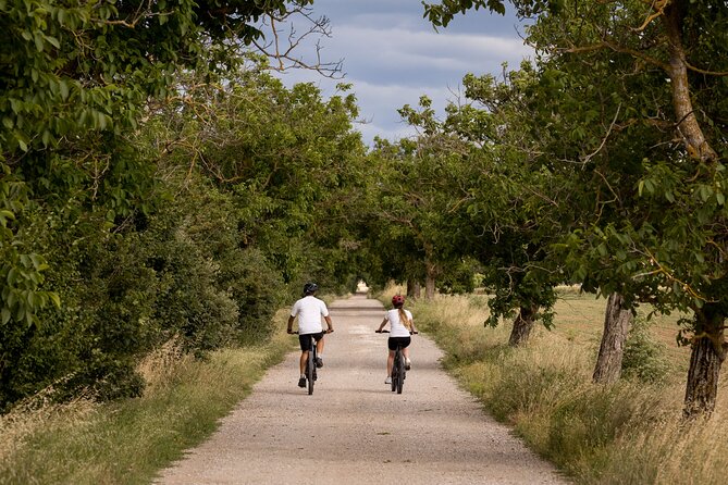 Cortona - eBike tour and wine tasting in the Val di Chiana [+40€] - Vineyards, working farms, and changing views