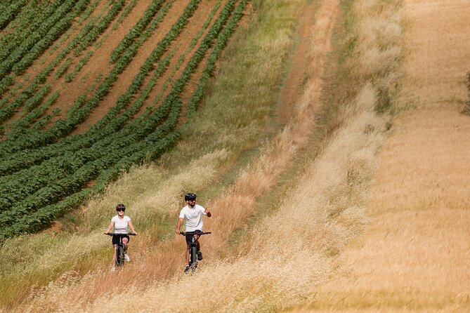 Cortona - eBike tour and wine tasting in the Val di Chiana [+40€] - The winery tasting and light lunch