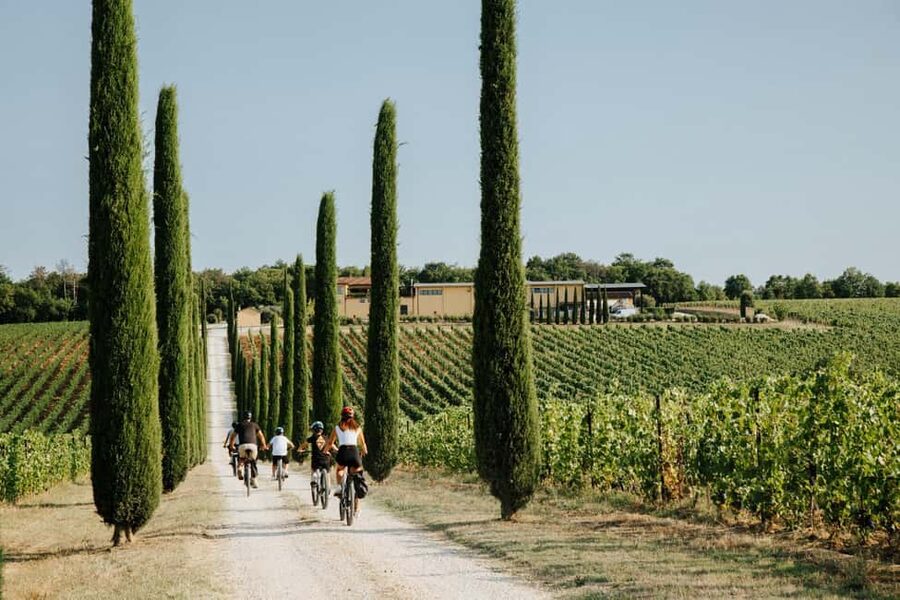 Cortona: Val di Chiana E-Bike Tour with Optional Wine Lunch - Why the gravel roads matter