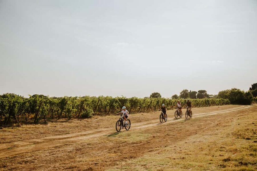 Cortona: Val di Chiana E-Bike Tour with Optional Wine Lunch - The winery stop and optional lunch
