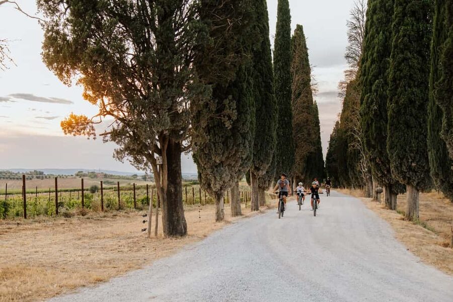 Cortona: Val di Chiana E-Bike Tour with Optional Wine Lunch - Who will enjoy this ride most?