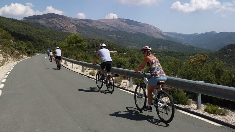Costa Blanca Downhill Bike Ride - A drink, certificate, and ride back to the coast