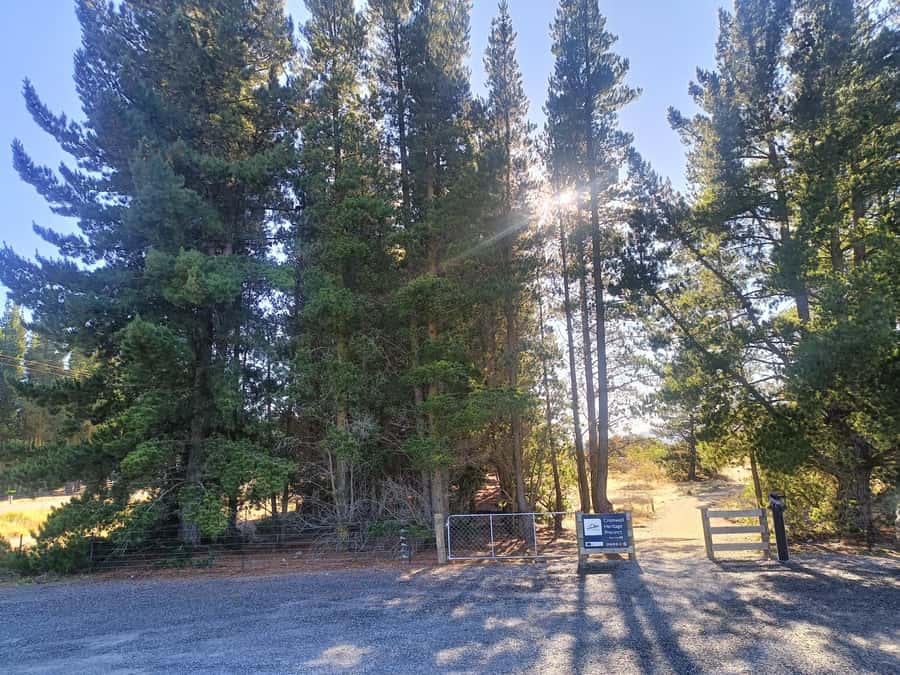 Cromwell: Lake Dunstan Trail Bike Rental and Luxury Shuttle - Who should choose the e-bike?