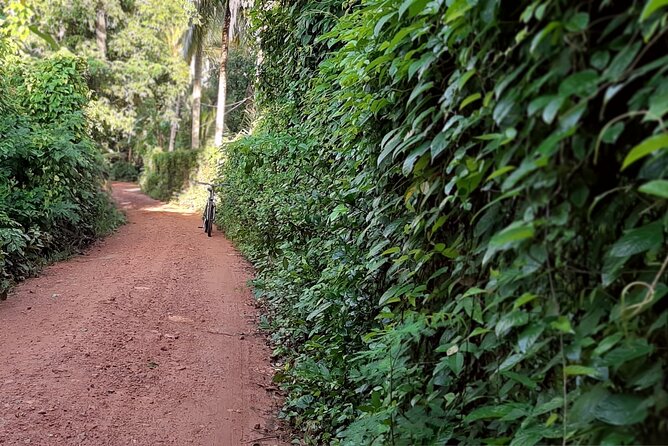 Cultural Cycling Tour - half day (8:00-11:30) - Price, group size, and what you receive