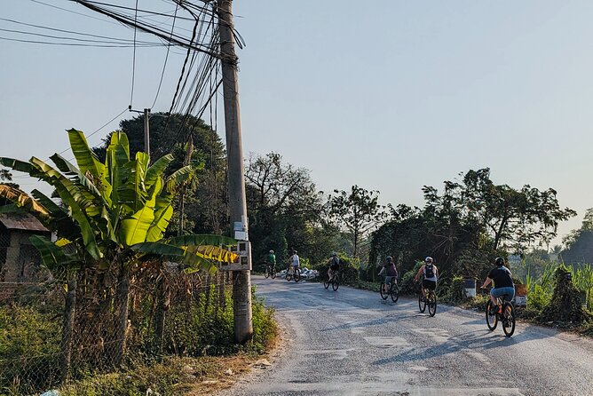 Customs and Culture Half Day Walk and Bike Tour in Battambang - What the $37 price really covers