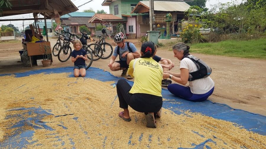 Cycling Sukhothai Full Day Countryside Tour - What the guest feedback tells you about the experience