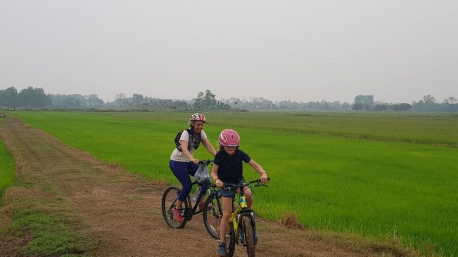 Cycling Sukhothai Full Day Countryside Tour - Dirt roads through rice paddies