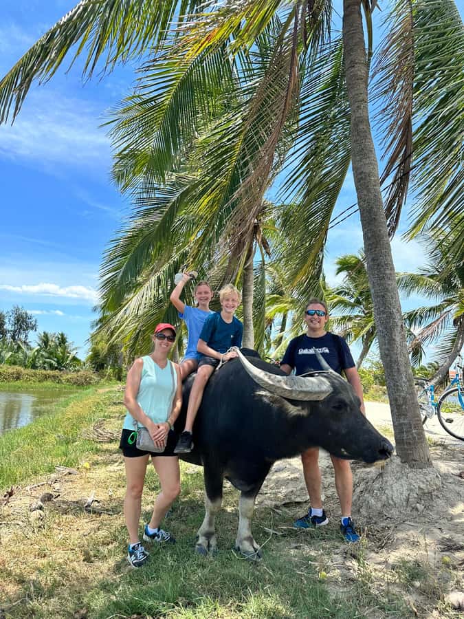 Da Nang or Hoi An: Countryside Bike & Basket Boat Tour - Five things to know before you book