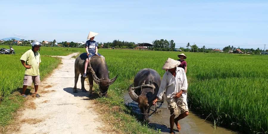 Da Nang or Hoi An: Countryside Bike & Basket Boat Tour - Cycling through rice fields and farming villages