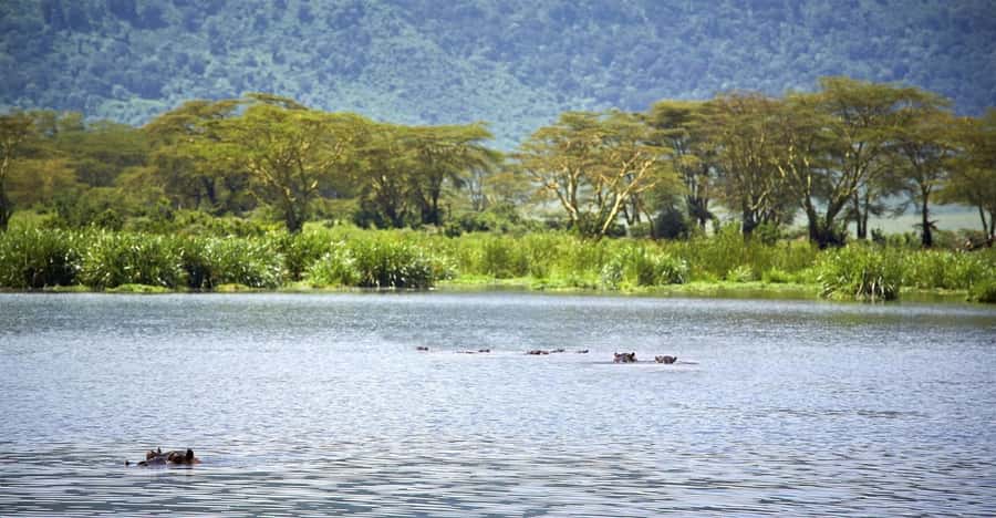 Day Trip: Hell's Gate Bike Ride & Lake Naivasha Boat Ride - Who Should Book This Day Trip?