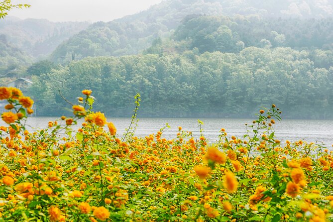 Day Trip to Nami Island with Rail bike and The Garden of Morning Calm - Gangchon Rail Bike: The Active Finish