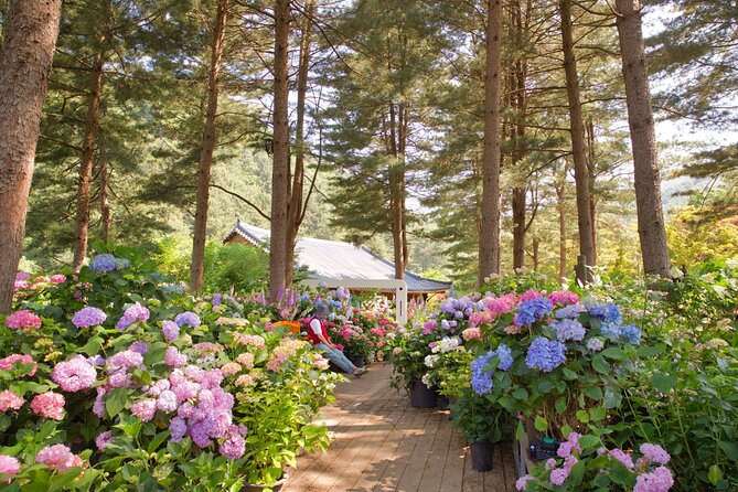 Day Trip to Nami Island with Rail bike and The Garden of Morning Calm - A Long Day Means Small Choices Matter