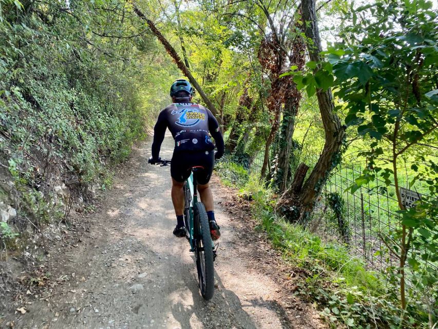 Desenzano: e-Bike Tour with Wine Tasting - Why the inland side of Desenzano is worth your time