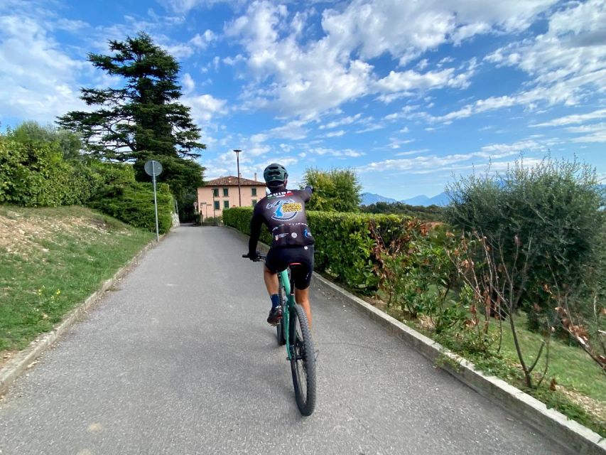 Desenzano: e-Bike Tour with Wine Tasting - Country roads, cycle paths, and vineyard views