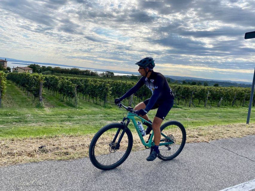 Desenzano: e-Bike Tour with Wine Tasting - Pace, group size, and the level of effort