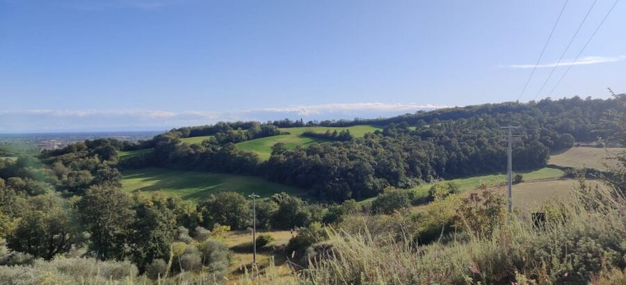 Desenzano: e-Bike Tour with Wine Tasting - Weather and timing matter
