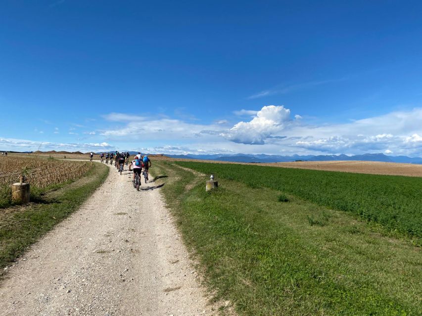 Desenzano: e-Bike Tour with Wine Tasting - Who will enjoy this tour most