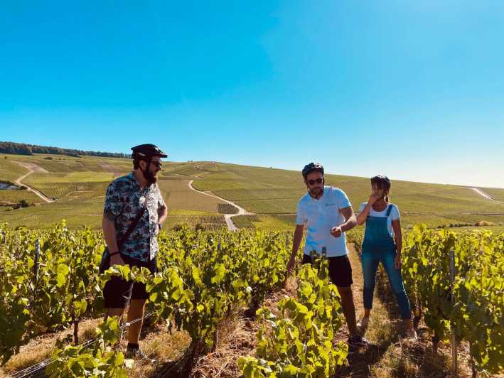 Dijon/Beaune: Full day Ebike Burgundy tour, tastings & lunch - Rolling into Meursault by e-bike