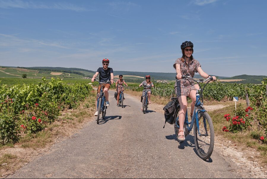 Dijon/Beaune: Full day Ebike Burgundy tour, tastings & lunch - A comparative tasting before lunch