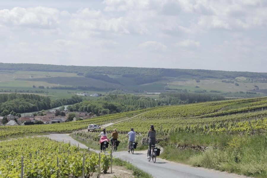Dijon/Beaune: Full day Ebike Burgundy tour, tastings & lunch - A family-run winery after the ride