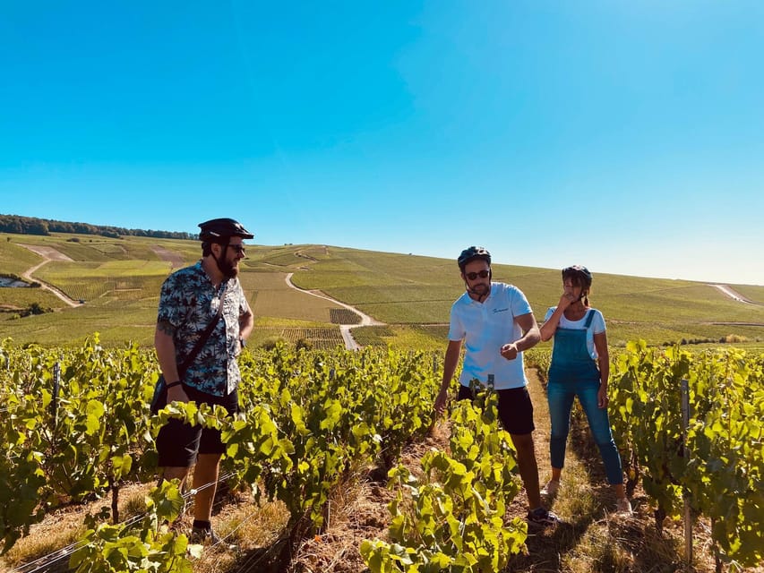 Dijon/Beaune: Full day Ebike Burgundy tour, tastings & lunch - What happens if it rains?