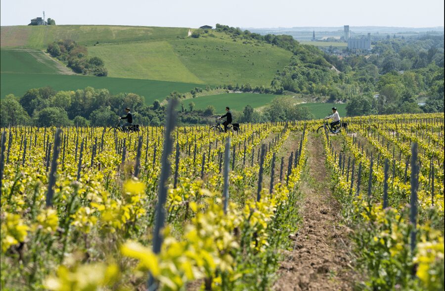 Dijon/Beaune: Full day Ebike Burgundy tour, tastings & lunch - Starting from Dijon or Beaune